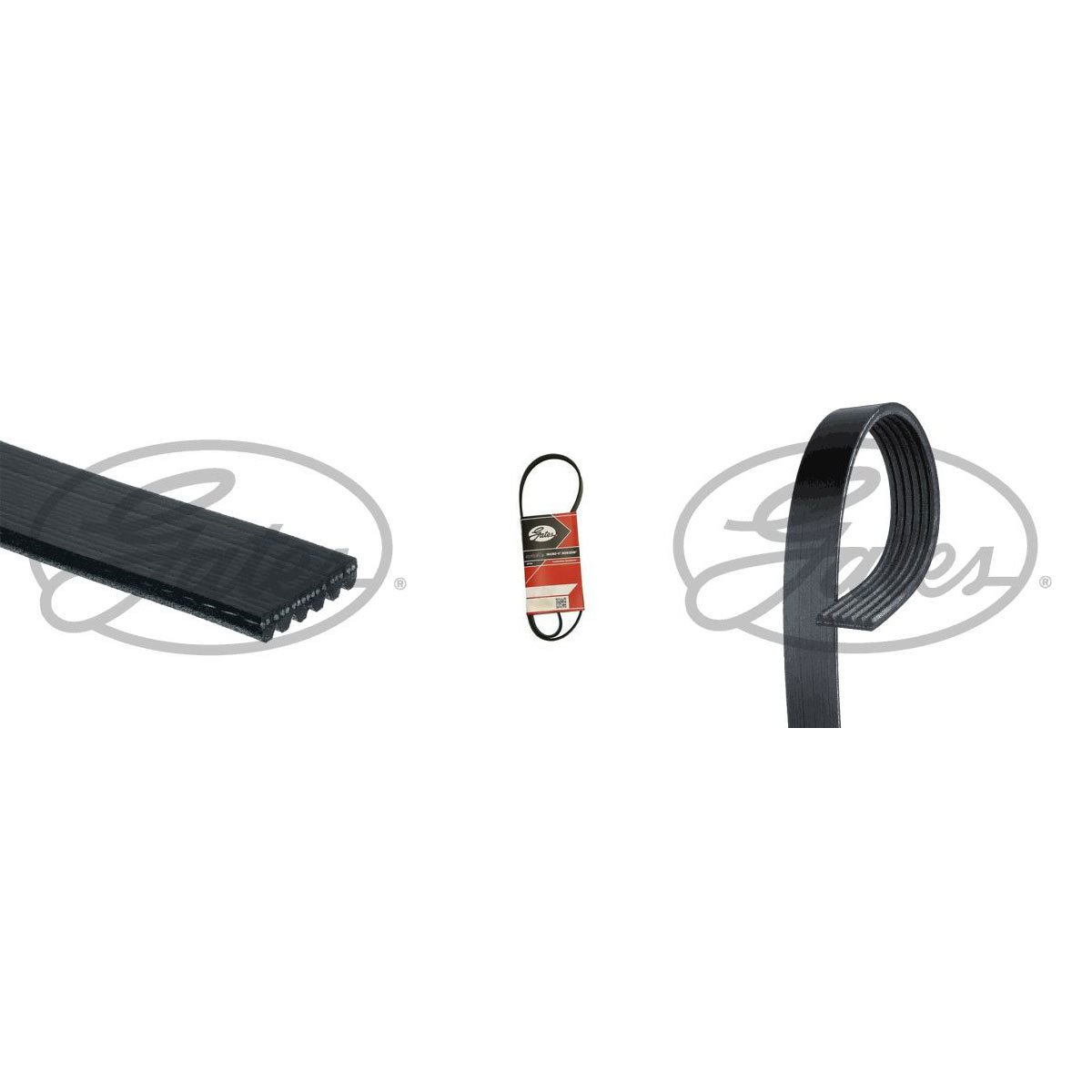 Skoda Rapid Şarj Kayışı GATES 6PK1090XS OEM 04L145933