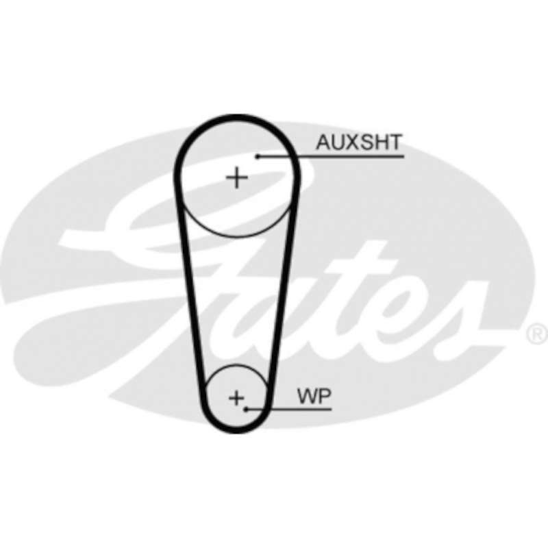 Audi A3 Devirdaim Pompa Kayışı GATES 5683XS OEM 04E121605F
