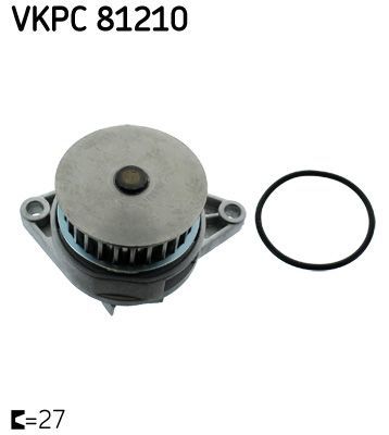 VOLKSWAGEN Polo Devirdaim SKF - VKPC81210 - OEM 030121005N - 1,6-AEE VKPC 81210