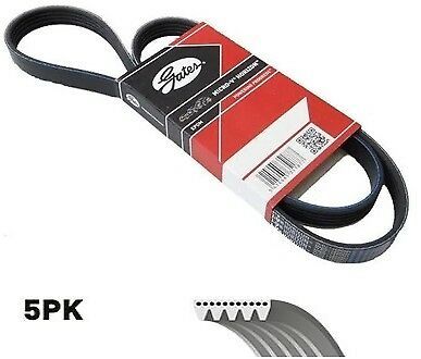 Audi A4 Şarj Kayışı GATES 5PK1435 OEM 038903137T