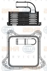 Skoda Rapid Radyatör Yağ Soğutucu Soğutucu Behr 8MO376701-454 OEM 03F117021A